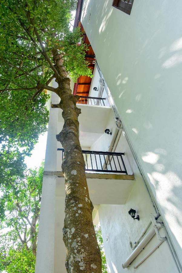 Villa Araliya Hikkaduwa Dış mekan fotoğraf
